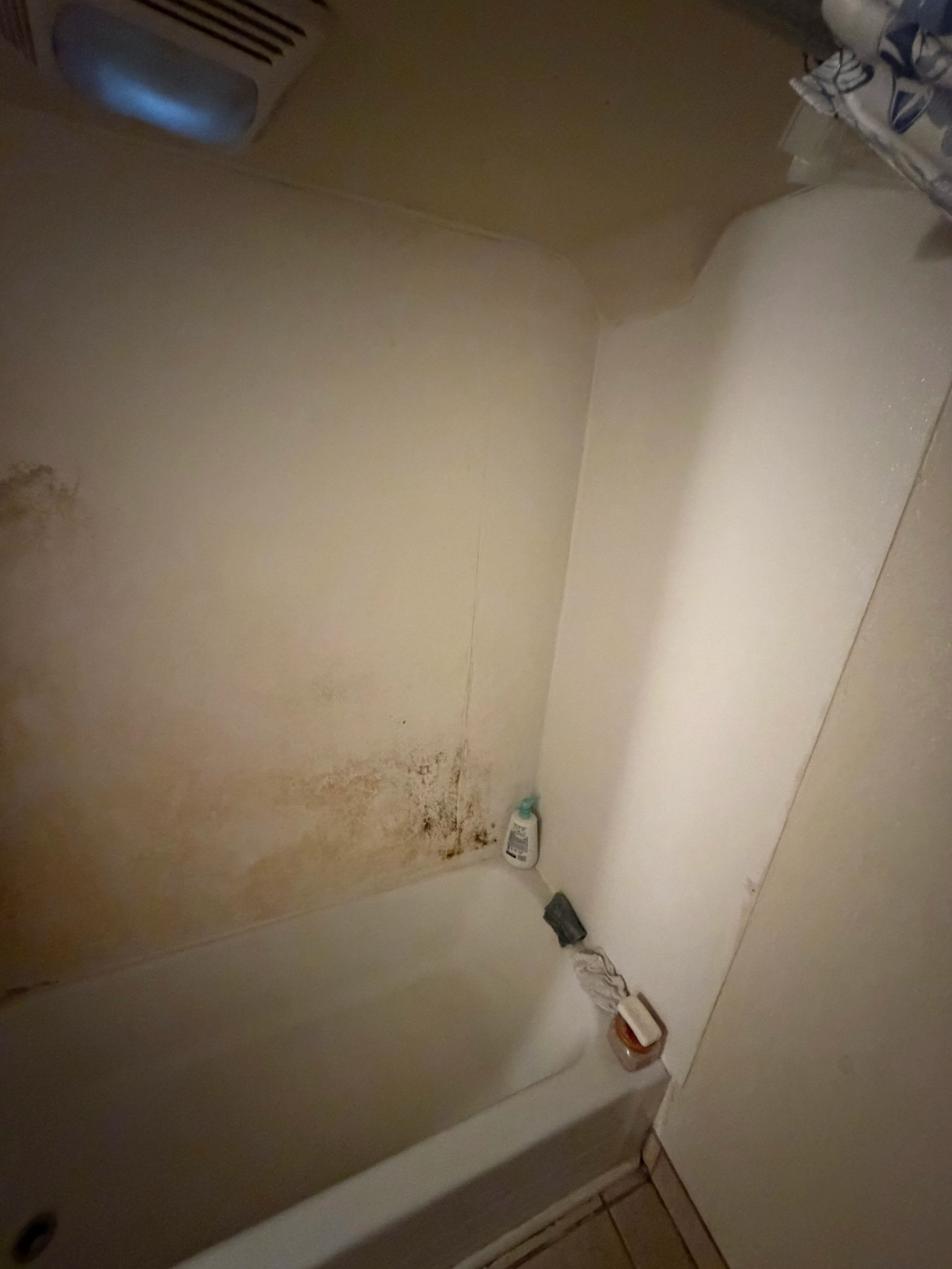 Project Badly Neglected Tub Surround Gets a Full Refinish in Milwaukee image