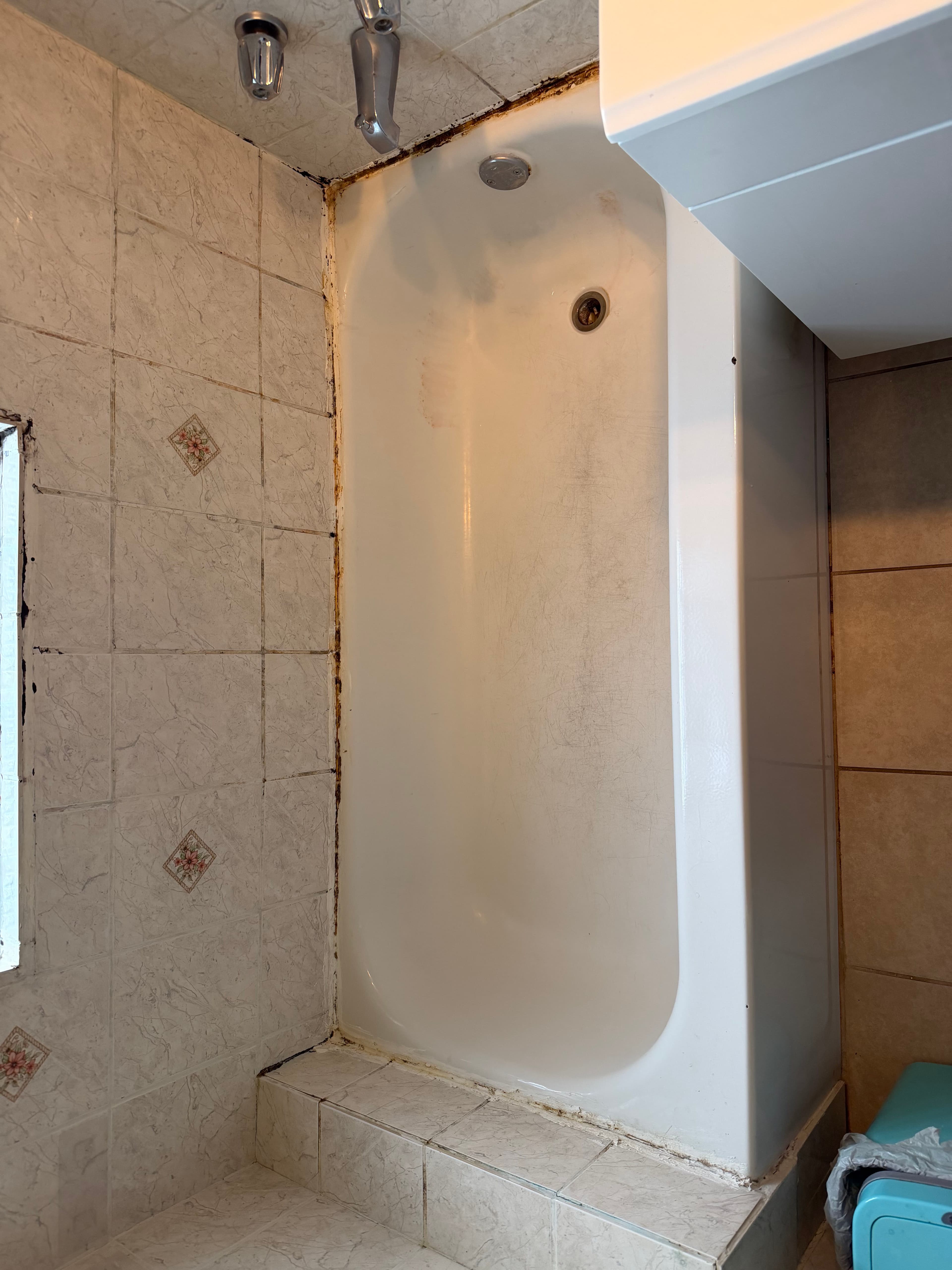 Project Tub and Tile Refinish That Skips the Demo Bill image