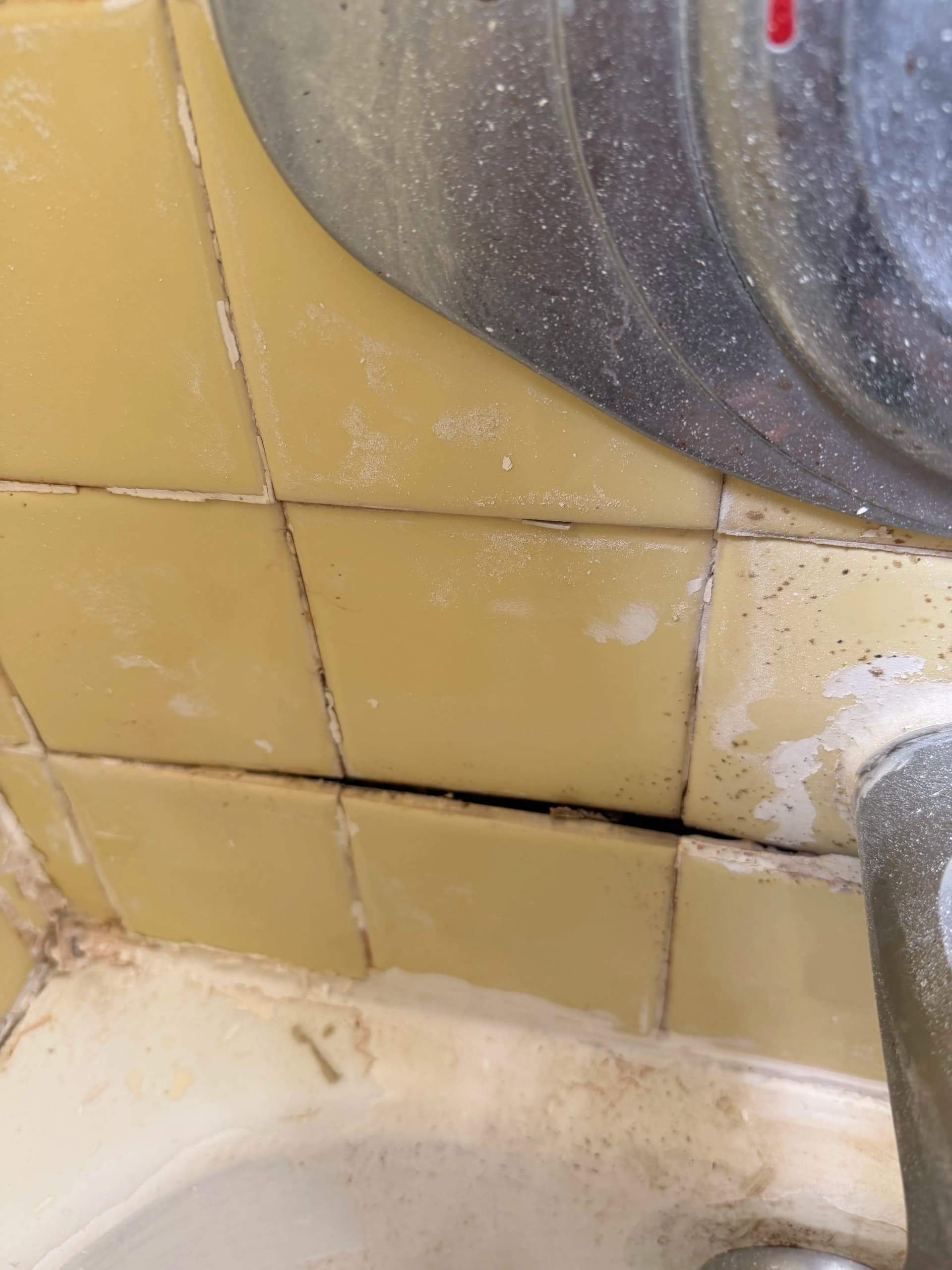 Gallery photos for Shower Leak Repair and Full Tub Refinish Without the Demo Mess: Image #2