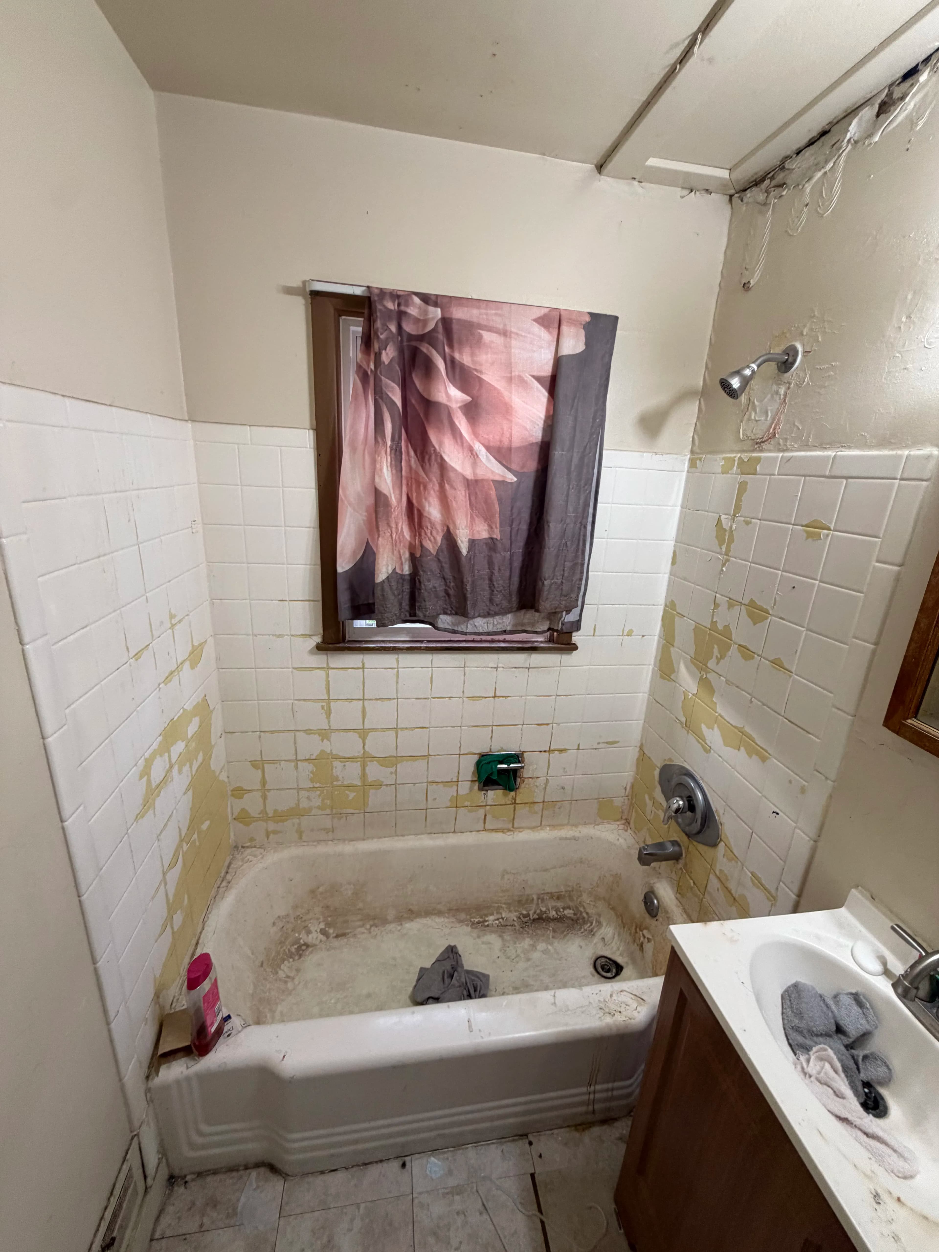 Project Shower Leak Repair and Full Tub Refinish Without the Demo Mess image